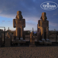 фото из отзыва ID 2688038