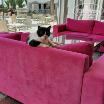 фото из отзыва ID 2688048