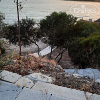 фото из отзыва ID 2688048