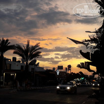 фото из отзыва ID 2688069