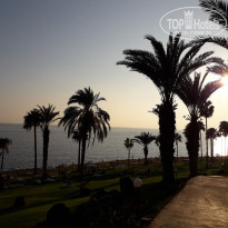 фото из отзыва ID 2688069