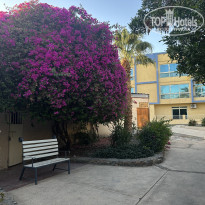 фото из отзыва ID 2688078