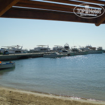 фото из отзыва ID 2688093