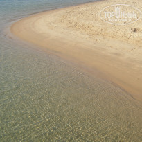 фото из отзыва ID 2688093