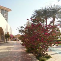 фото из отзыва ID 2688093