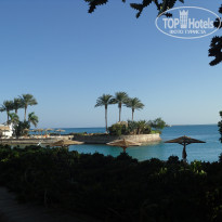 фото из отзыва ID 2688093