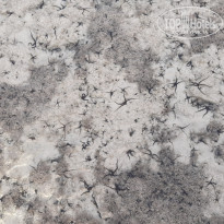 фото из отзыва ID 2688125