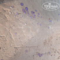 фото из отзыва ID 2688125