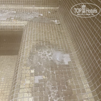 фото из отзыва ID 2688177