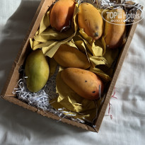 фото из отзыва ID 2688180