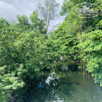 фото из отзыва ID 2688182