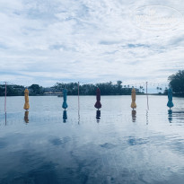 фото из отзыва ID 2688182