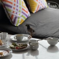 фото из отзыва ID 2688182