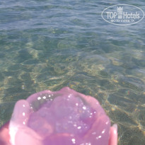 фото из отзыва ID 2688202