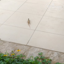 фото из отзыва ID 2688202