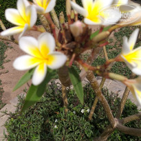 фото из отзыва ID 2688202