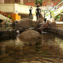 фото из отзыва ID 2688202