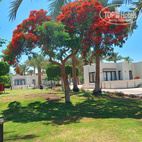 фото из отзыва ID 2688033