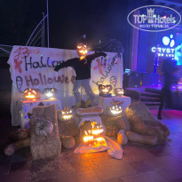 фото из отзыва ID 2688218