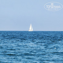 фото из отзыва ID 2688227