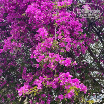 фото из отзыва ID 2688245