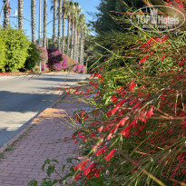 фото из отзыва ID 2688243