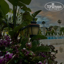 фото из отзыва ID 2688243