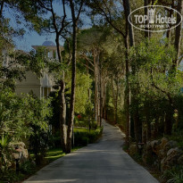 фото из отзыва ID 2688243