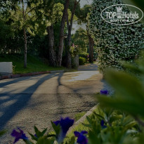 фото из отзыва ID 2688243