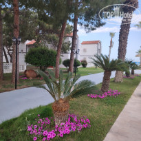 фото из отзыва ID 2688259