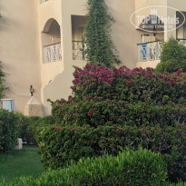 фото из отзыва ID 2688269