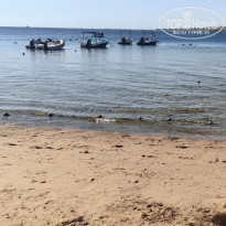 фото из отзыва ID 2688269