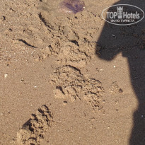 фото из отзыва ID 2688269