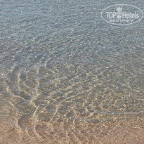 фото из отзыва ID 2688269