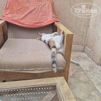 фото из отзыва ID 2688225