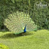 фото из отзыва ID 2688354