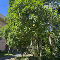 фото из отзыва ID 2688374