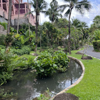 фото из отзыва ID 2688374