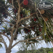 фото из отзыва ID 2688374