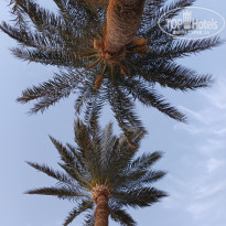 фото из отзыва ID 2688375