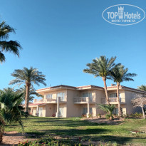 фото из отзыва ID 2688375