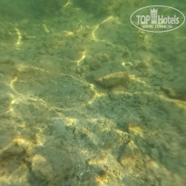 фото из отзыва ID 2688375