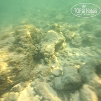 фото из отзыва ID 2688375