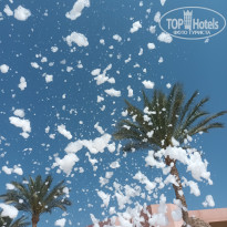 фото из отзыва ID 2688375