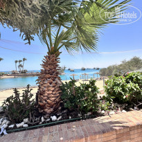 фото из отзыва ID 2688406