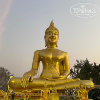 фото из отзыва ID 2688413