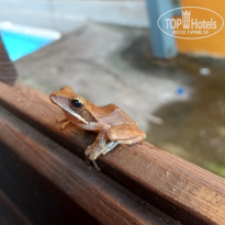 фото из отзыва ID 2688471