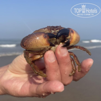 фото из отзыва ID 2688471