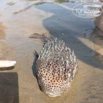 фото из отзыва ID 2688471