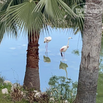 фото из отзыва ID 2688501